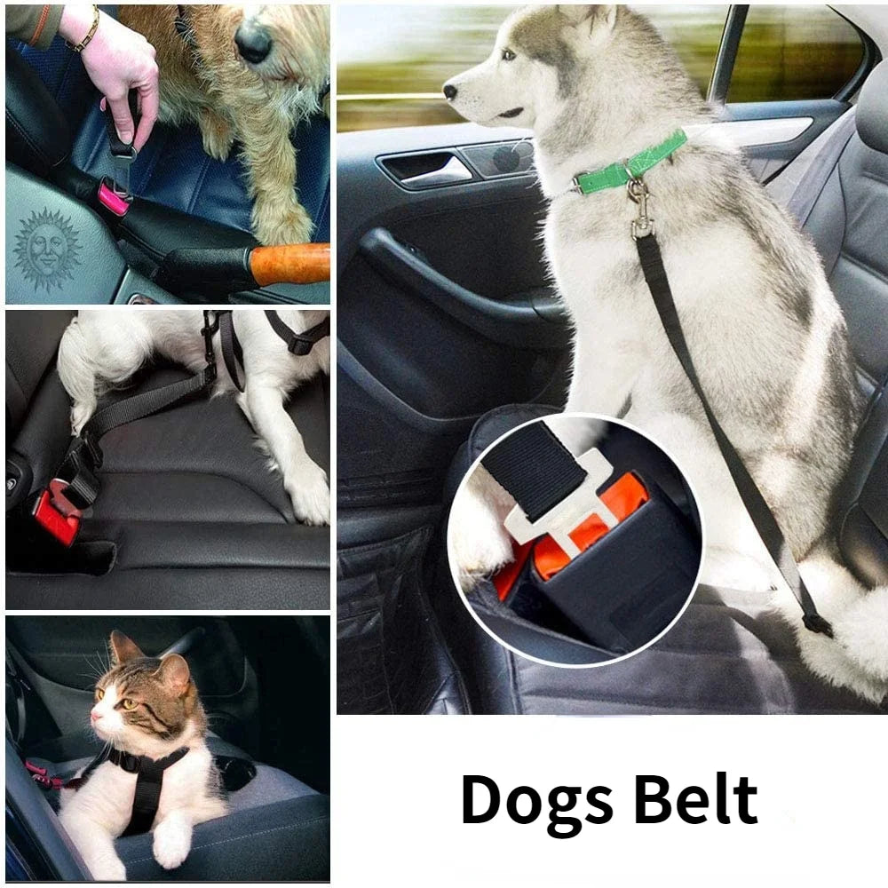 Adjustable Pet Cat Dog Car Seat Belt / Harness - Homes Must Haves