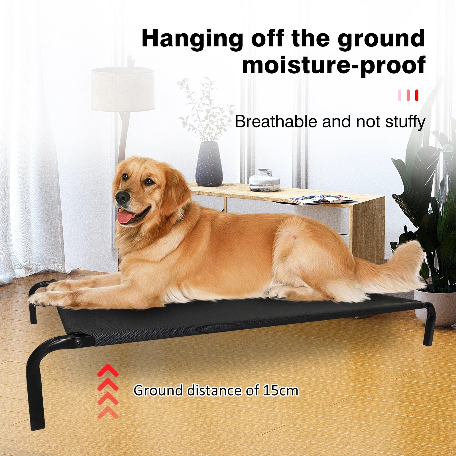 Elevated Pet Dog Bed With Mesh,Cooling Dog Beds for Large Medium Small Dogs - Homes Must Haves