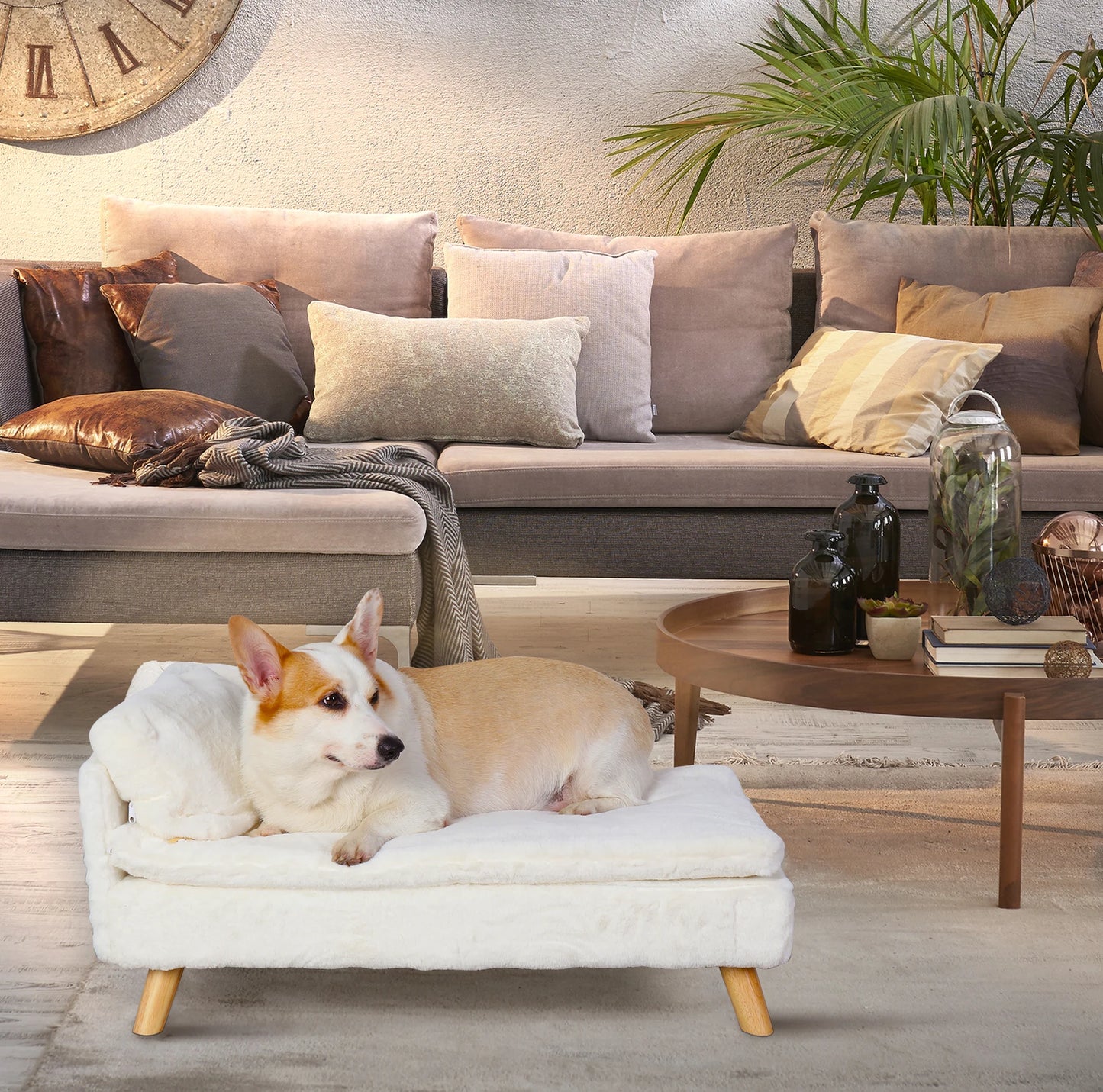 Elevated Waterproof Pet Sofa Bed with Soft Cozy Pad & Sturdy Wood Legs - Homes Must Haves